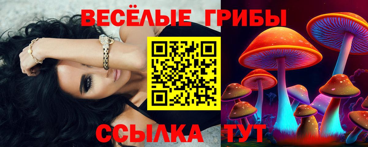 Галлюциногенные грибы Psilocybe Кировск